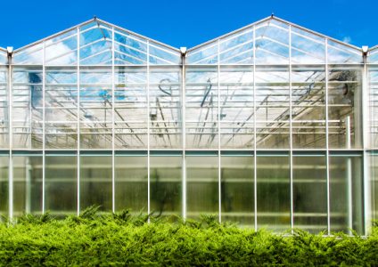 02_585x420_VAFI_SKIASIS_THERMOKIPION